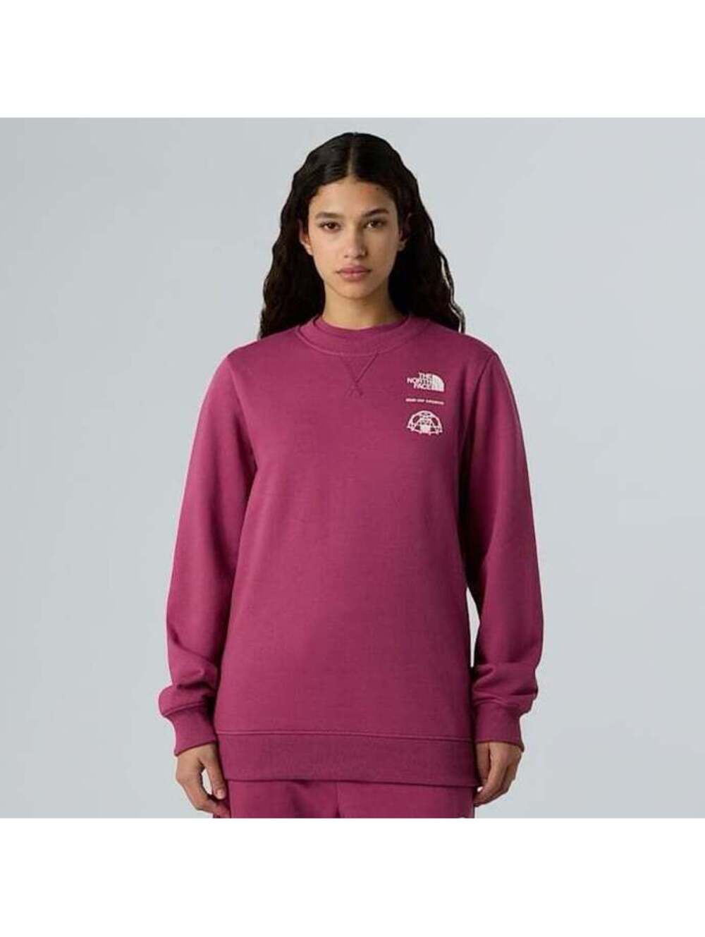 Women’s north face outdoor graphic sweatshirt